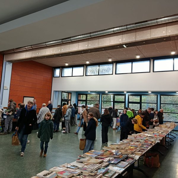 Vente de livre de la médiathèque
